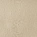 26 Carla 488 Beige